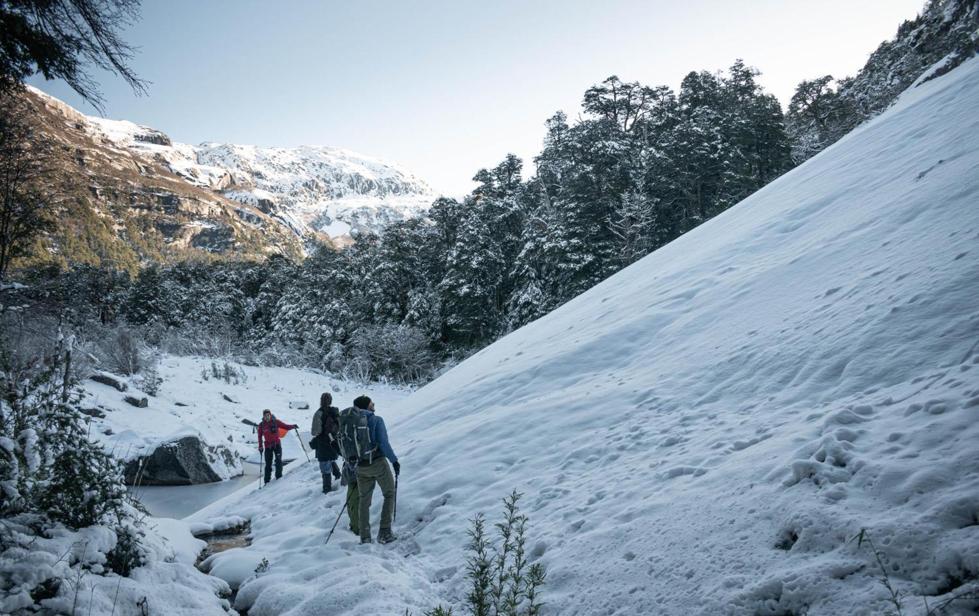 Indomito Hostel San Carlos de Bariloche Eksteriør billede